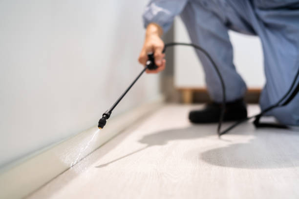 Licensed Cockroach Control service in Shelby, MS - Nex Pest Control