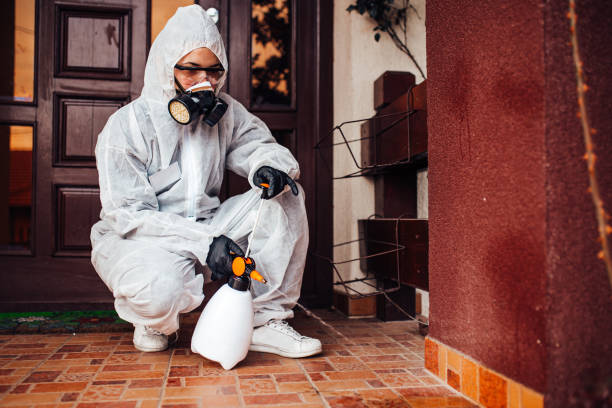 Reliable Cockroach Control contractor in Shelby, MS by Nex Pest Control
